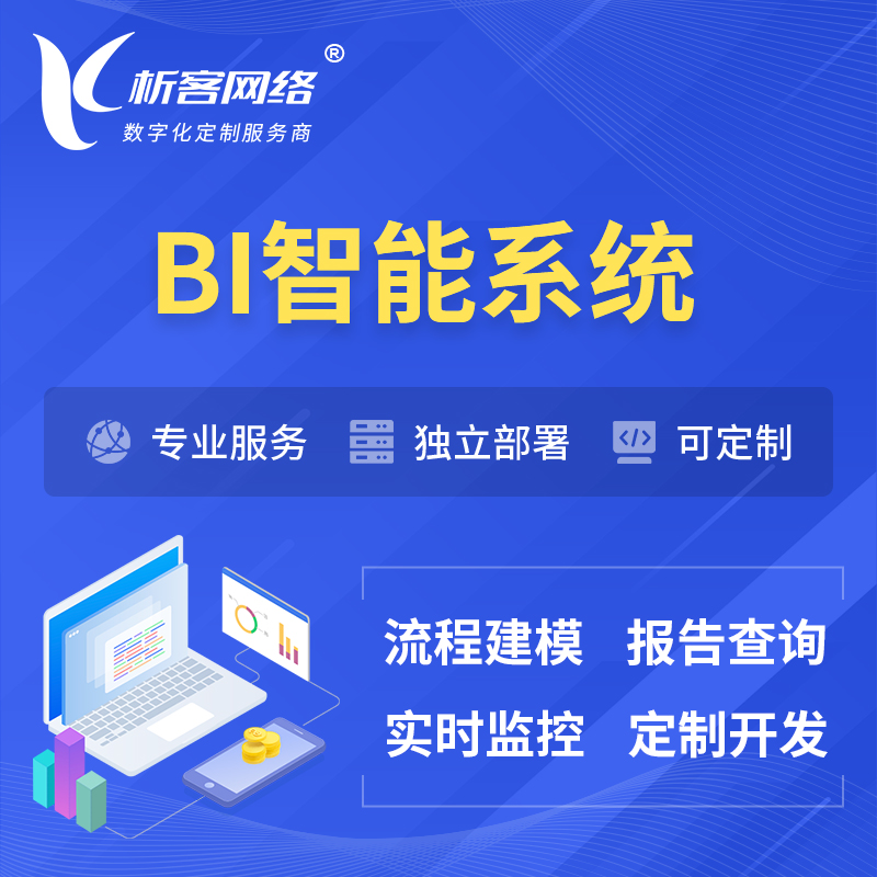 台北BI智能系统 | BI数据可视化